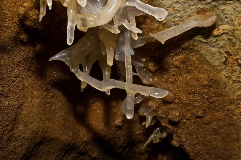 Javoříčské jeskyně