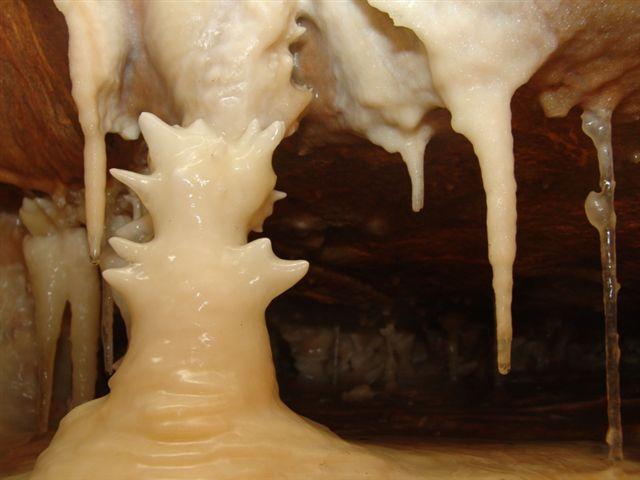 Javoříčské jeskyně