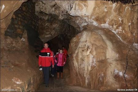 Uspávání netopýrů v Javoříčských jeskyních