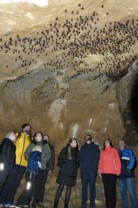 Uspávání netopýrů v Javoříčských jeskyních, 11. 11. 2023