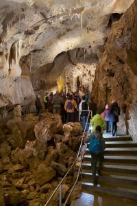 Probouzení netopýrů v Javoříčských jeskyních, 23. 3. 2024