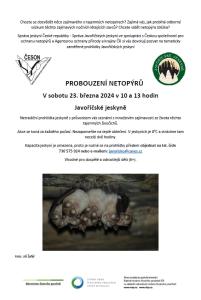 Probouzení netopýrů v Javoříčku 2024 - pozvánka
