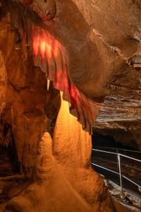 Uspávání netopýrů v Javoříčských jeskyních, 9. 11. 2024