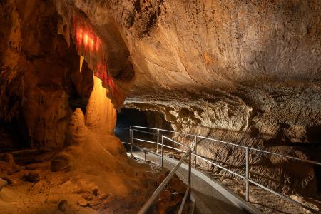 Uspávání netopýrů v Javoříčských jeskyních, 9. 11. 2024