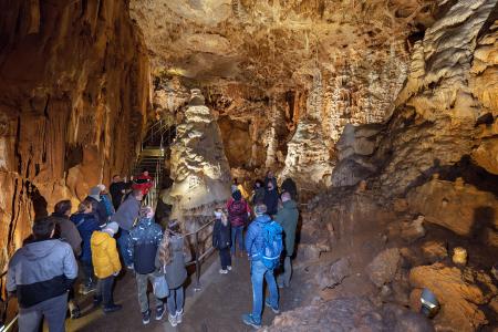 Uspávání netopýrů v Javoříčských jeskyních, 9. 11. 2024