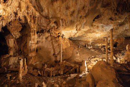 Uspávání netopýrů v Javoříčských jeskyních, 9. 11. 2024