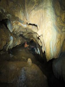 Sčítání netopýrů v Javoříčku v lednu 2025