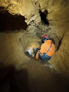 Sčítání netopýrů v Javoříčku v lednu 2025