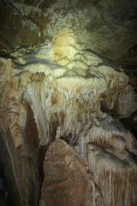 Sčítání netopýrů v Javoříčku v lednu 2025