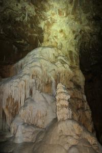 Sčítání netopýrů v Javoříčku v lednu 2025