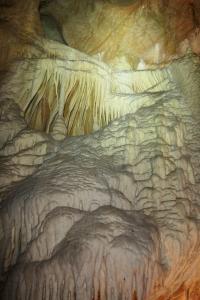 Sčítání netopýrů v Javoříčku v lednu 2025