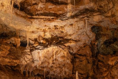 Uspávání netopýrů v Javoříčských jeskyních, 2025