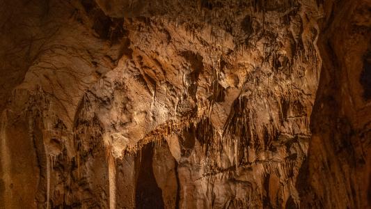 Uspávání netopýrů v Javoříčských jeskyních, 2025