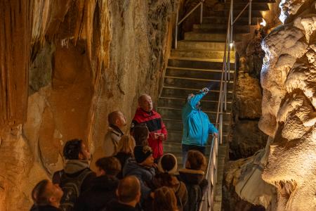 Uspávání netopýrů v Javoříčských jeskyních, 2025