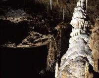 Javoříčské jeskyně